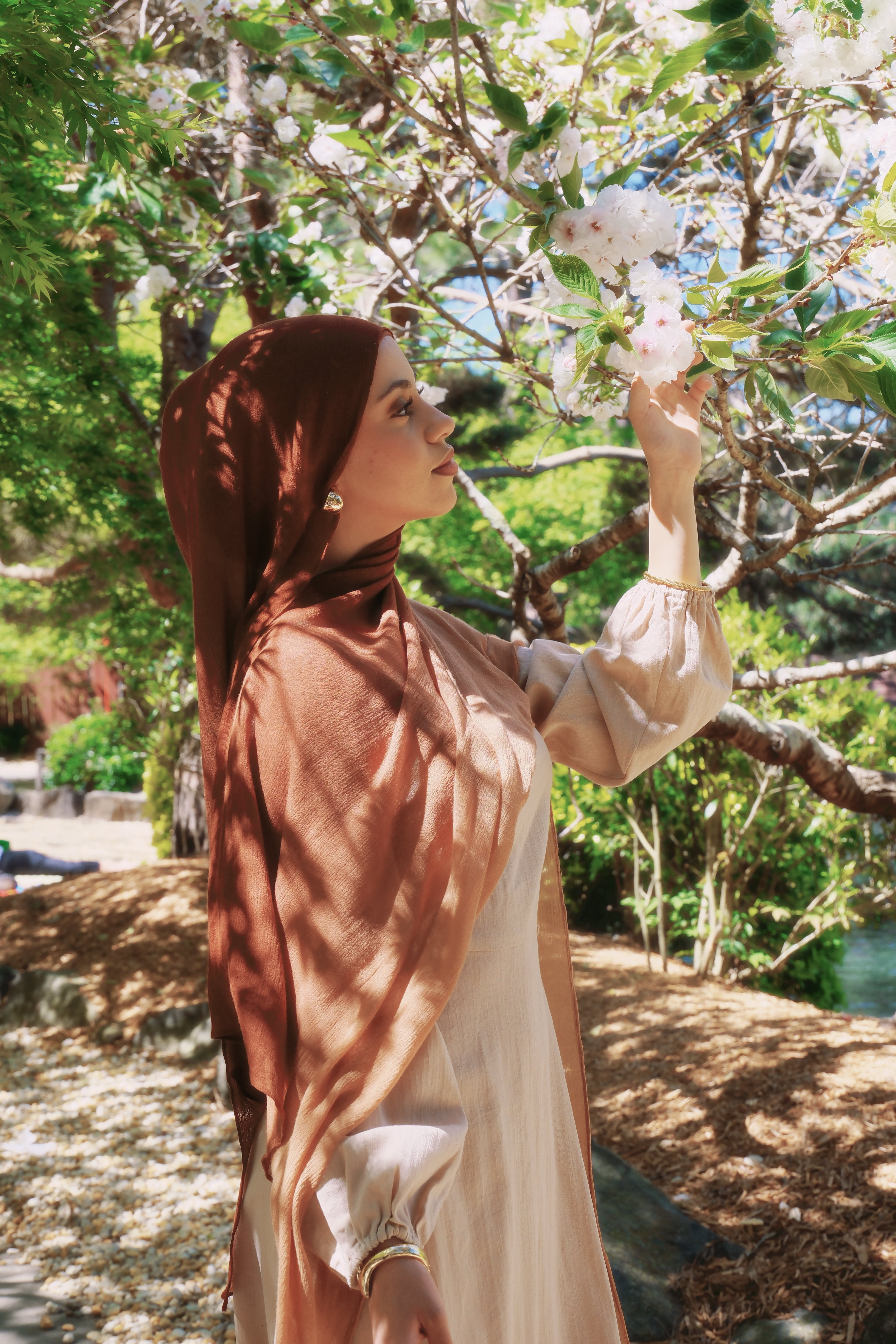 Shawls & Co